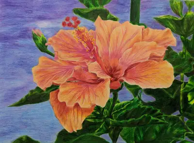 Hibiscus Painting